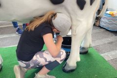 Concours-EJ_EàF_Traire-la-vache-©AGIR